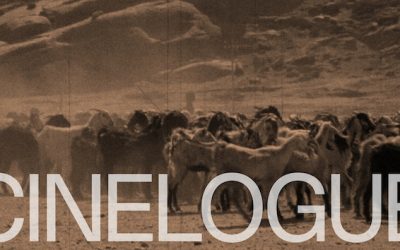 Crowdfunding-Kampagne für Cinelogue