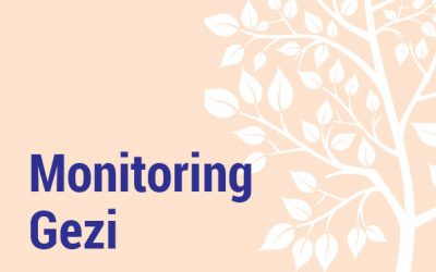 PEN Norwegen veröffentlicht Monitoring-Bericht zum Gezi-Prozess